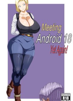 Meeting Android 18 Yet Again